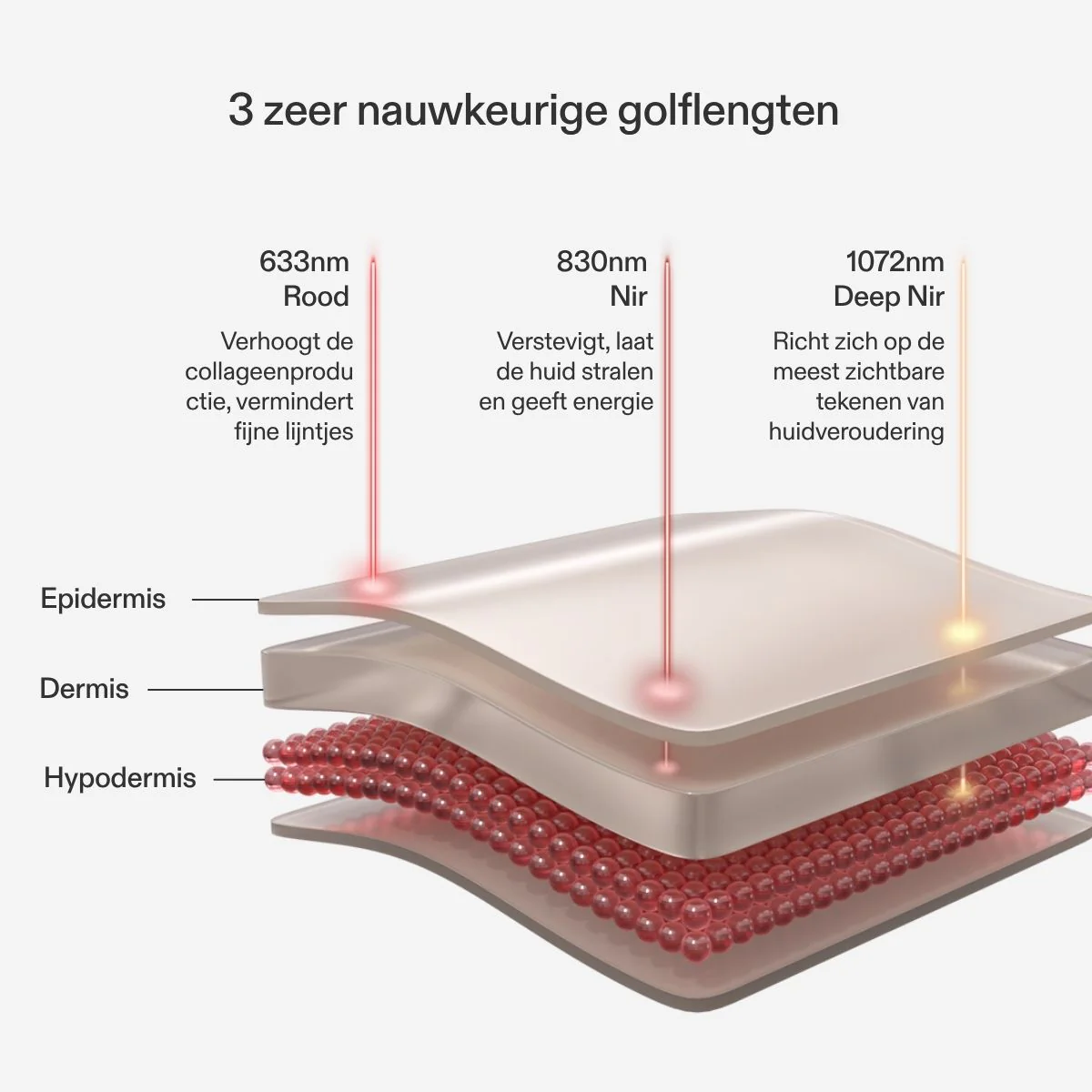 Productafbeelding 4